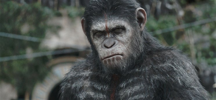 A Disney meghozta a döntést: ez lesz A majmok bolygója-széria sorsa