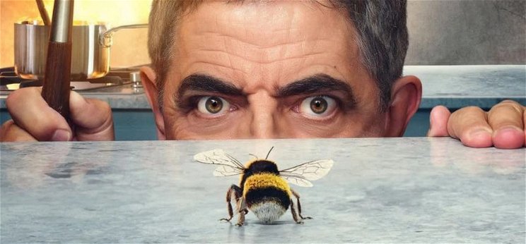 A férfi a méh ellen egy pocsék Mr. Bean utánzat, semmi több – kritika