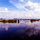 Veszélyben a Fertő-tó, örökre eltűnhet Közép-Európa harmadik legnagyobb állóvize