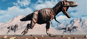 Egészen kínos, hogy a hím Tyrannosaurus rex mire használta a csökevényes mellső végtagját