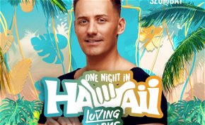 Loving Arms One Night in Hawaii - TABU Debrecen