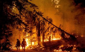 Tombolnak a lángok Kaliforniában – Meghökkentő képeken a bátor tűzoltók harca!