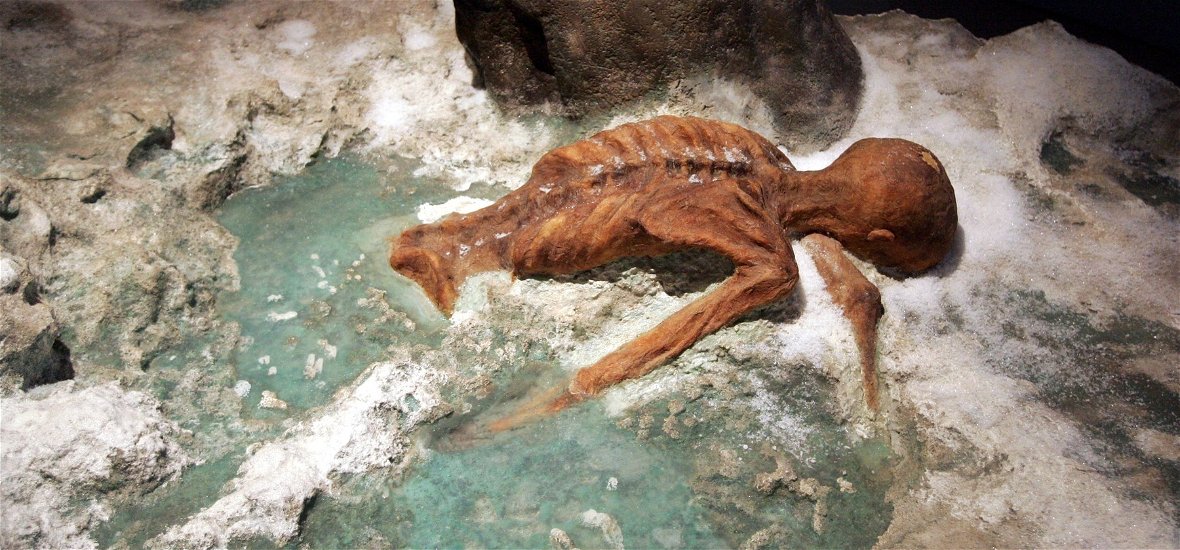 Ma 30 éve találták meg Ötzit, a jégbefagyott ősembert – képek