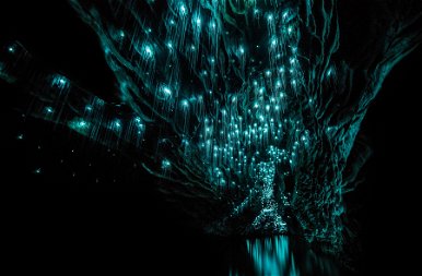 Láss világot: íme Új-Zéland legszebb barlangja, amit világító lárvák tesznek különlegessé – galéria