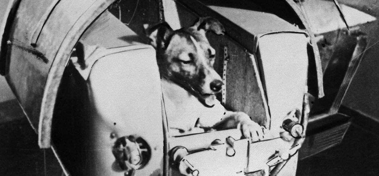 Lajka kutya 64 évvel ezelőtt hódította meg a világűrt, de csak pár óráig maradt életben – képek