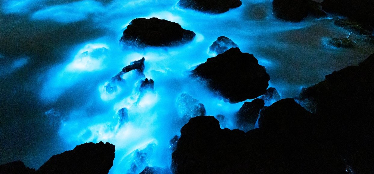 Rejtélyes kék fény jelent meg Ausztrália partjainál – Kiderült, hogy mi okozza ezt a hátborzongató jelenséget!