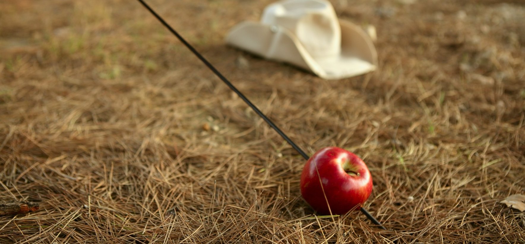 Állítólag Tell Vilmos 714 éve a mai napon lőtte le az almát a fia fejéről - galéria