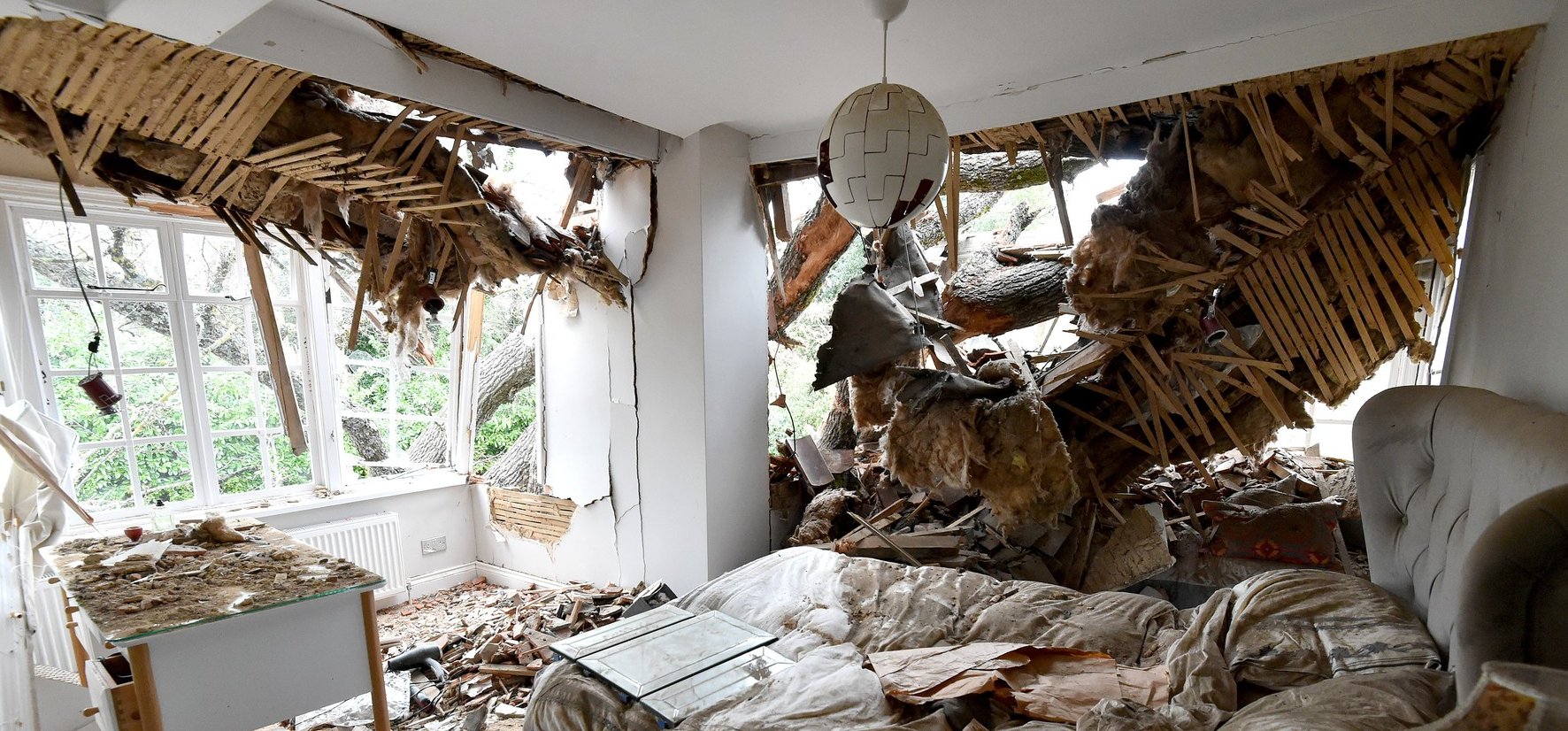 Egy 400 éves tölgy tette tönkre a házukat – siránkozás helyett inkább elmentek berúgni