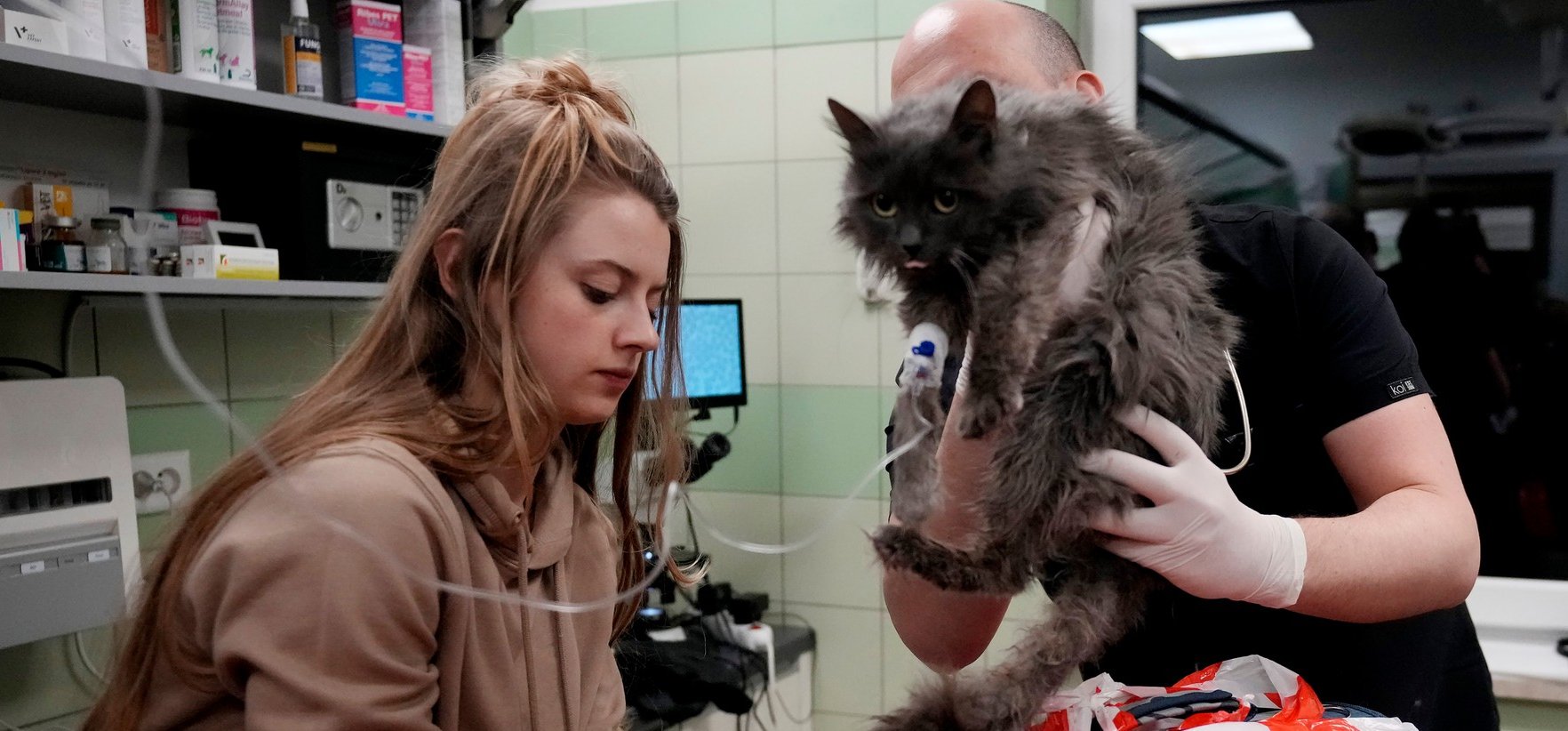 Kutyákat és cicákat is mentenek a lelkes önkéntesek Ukrajnából – fotók