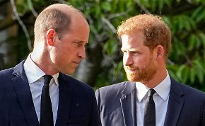 Szívszorító pillanat: fotókon Vilmos és Harry herceg találkozása – vajon végre békét kötnek egymással?