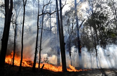 Ausztrália Lángokban - 2020. Január