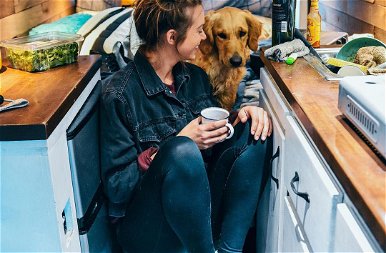Feladta a menő állását egy nő, hogy két kutyájával beutazhassa Amerikát egy kisteherautóval