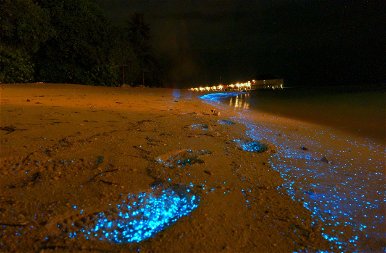 Rejtélyes kék fény jelent meg Ausztrália partjainál – Kiderült, hogy mi okozza ezt a hátborzongató jelenséget!