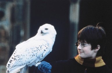Érezd magad öregnek: 20 éve mutatták be a Harry Potter és a bölcsek kövét – galéria