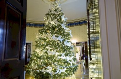 Több mint 40 karácsonyfát díszítettek fel a Fehér Házban – galéria