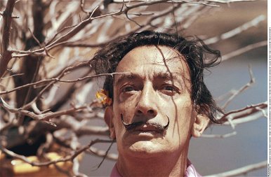 33 éve hunyt el a zseniális Salvador Dalí - galéria