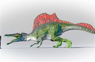 Tudod, hogy mennyivel volt magasabb egy T-Rex egy átlagos embernél?